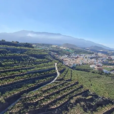 Geranios